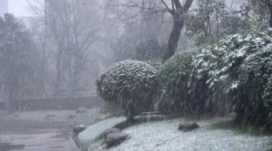 雨夹雪是什么意思