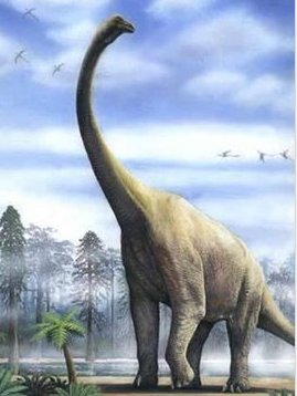 震龙的生活习性？