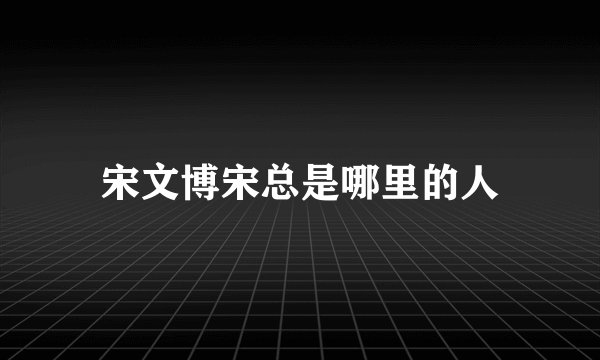 宋文博宋总是哪里的人