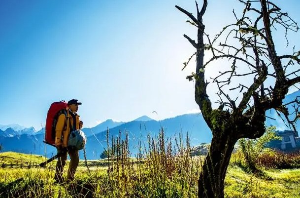 驻足是什么意思解释