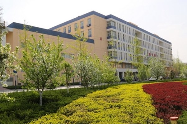 申聪上的什么学校