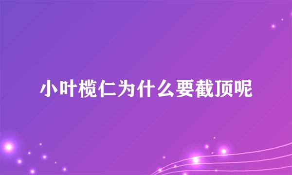 小叶榄仁为什么要截顶呢