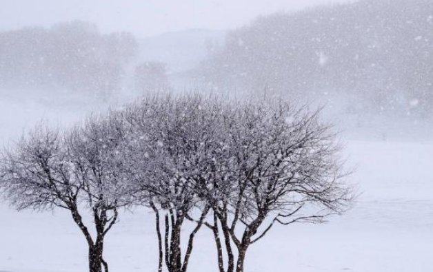 什么的东风，如何填空？