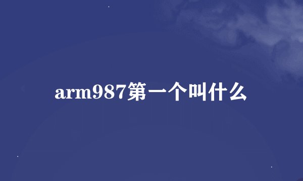 arm987第一个叫什么