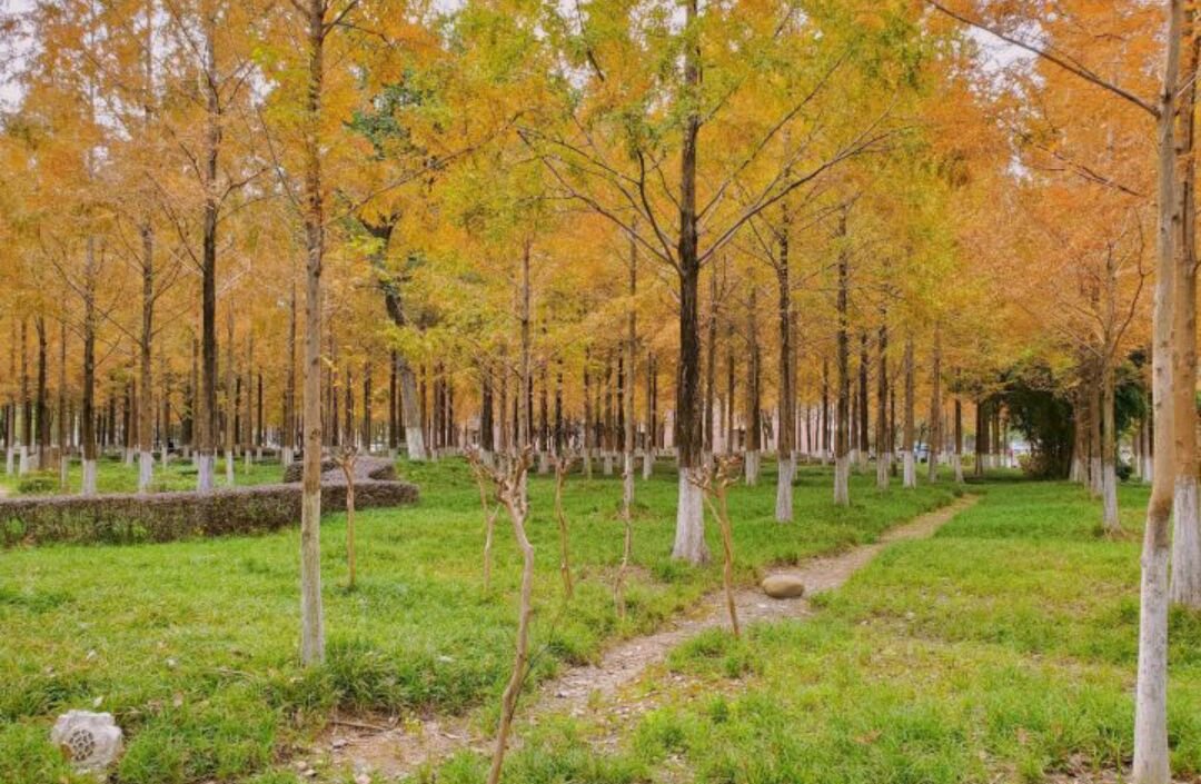 西南科技大学怎么样？