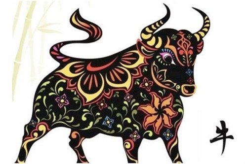 王一博和关晓彤都属牛，属牛的人，一般有什么样的性格特征？