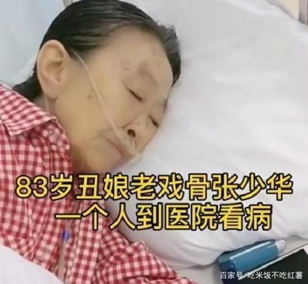 张少华从生病到去世，为何儿子对其不管不问？