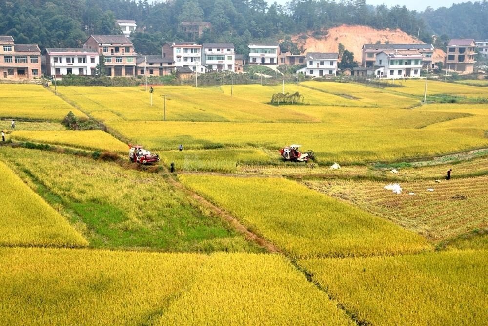 平方公里等于平方千米吗？