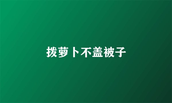 拨萝卜不盖被子