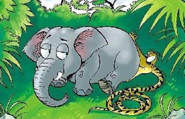 贪心不足蛇吞象什么意思 贪心不足蛇吞象意思简述