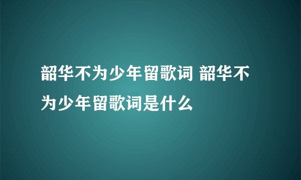 韶华不为少年留歌词 韶华不为少年留歌词是什么
