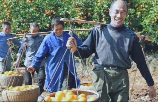 三秋指的是哪三秋?