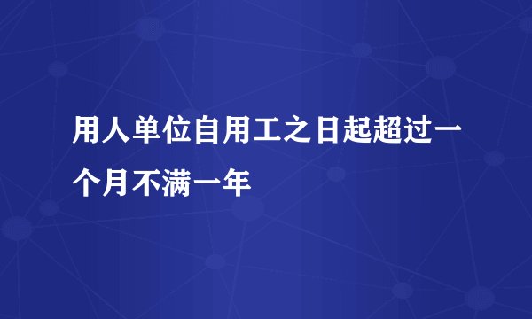 用人单位自用工之日起超过一个月不满一年