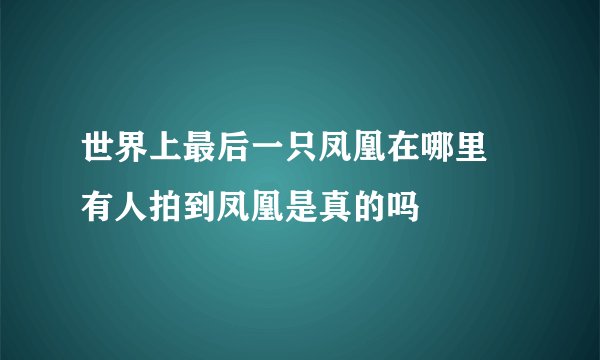 世界上最后一只凤凰在哪里 有人拍到凤凰是真的吗
