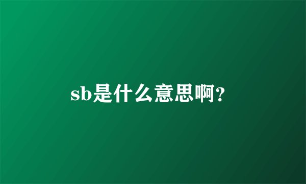 sb是什么意思啊？