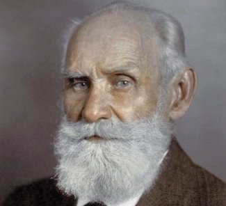 巴普洛夫是什么梗