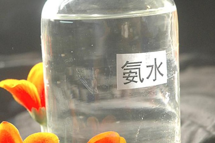 氨水的电离方程式