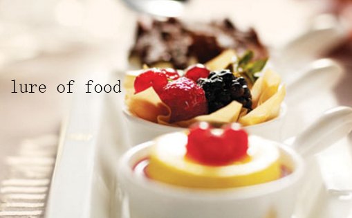 lure的意思是什么， allure呢？
