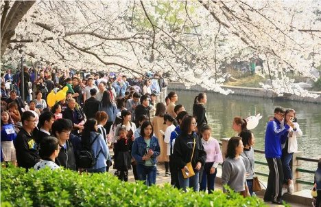 公园里真热闹有的有的还有的写一段话