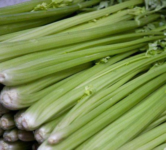茎类蔬菜有哪些