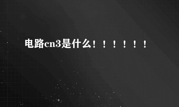 电路cn3是什么！！！！！！