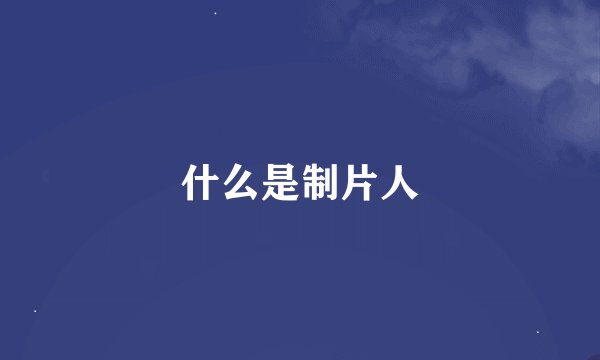 什么是制片人