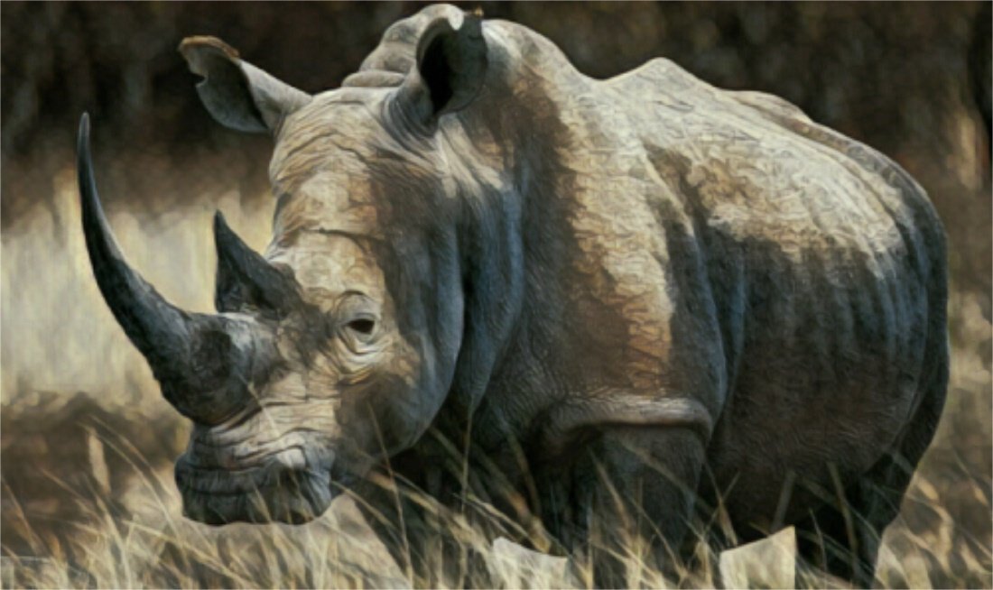 灰犀牛是什么意思？