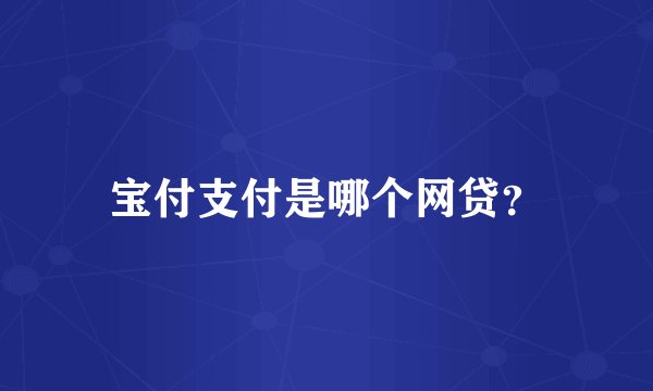 宝付支付是哪个网贷？