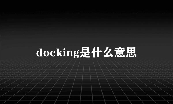 docking是什么意思
