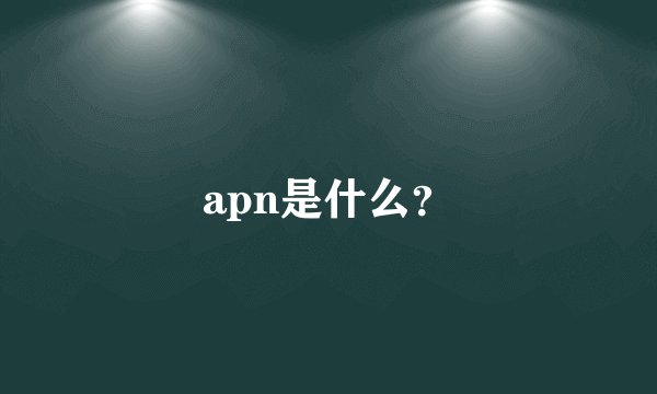 apn是什么？