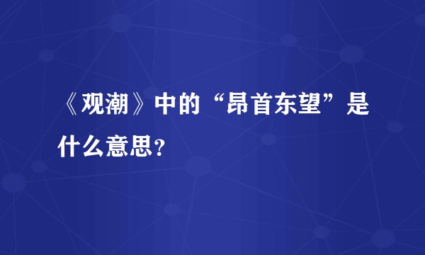 《观潮》中的“昂首东望”是什么意思？