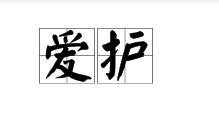 爱护和保护有什么区别