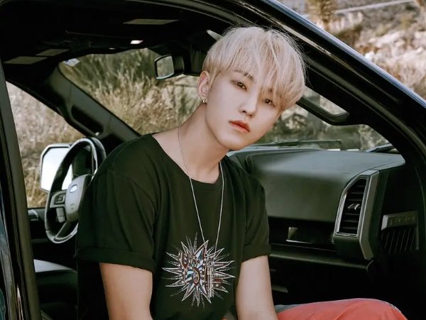 seventeen成员简介