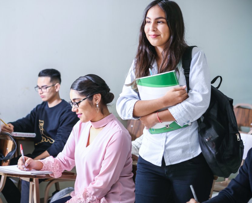 alleviation是什么意思