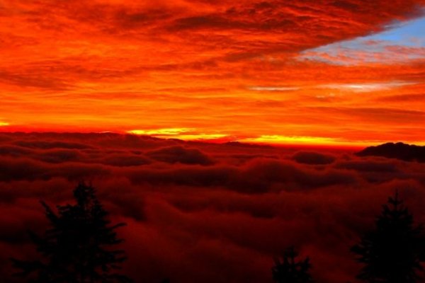 东方红英文版歌词？