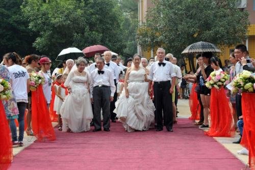 《金婚》电视剧是哪些演员演的？