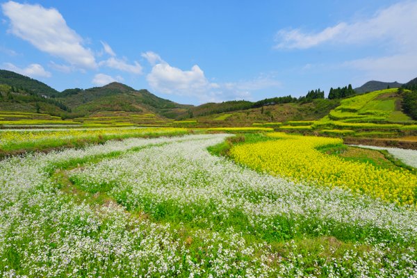 春色撩人什么意思啊