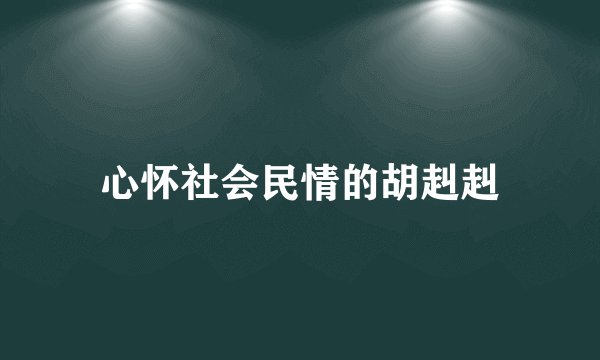 心怀社会民情的胡赳赳