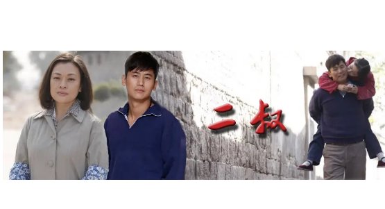 二叔电视剧演员表