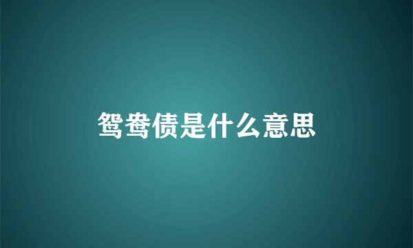 鸳鸯债是什么意思