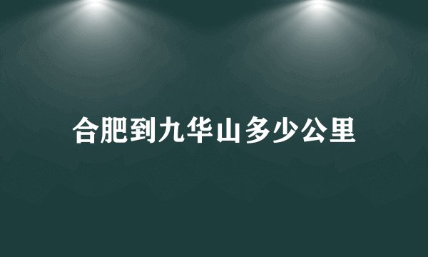 合肥到九华山多少公里
