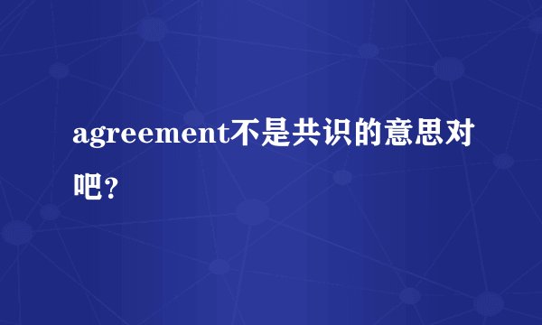 agreement不是共识的意思对吧？