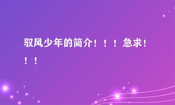驭风少年的简介！！！急求！！！
