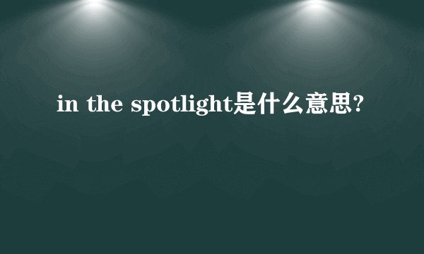 in the spotlight是什么意思?
