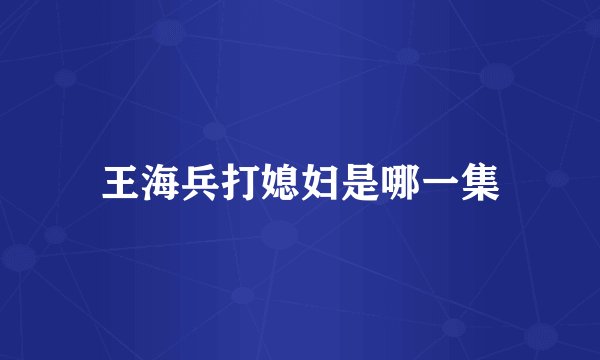 王海兵打媳妇是哪一集