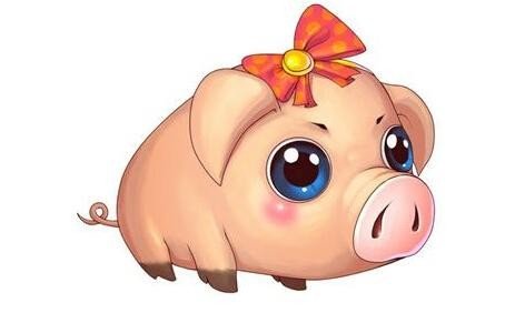 鸡飞狗跳是什么生肖