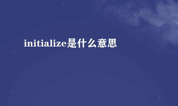 initialize是什么意思