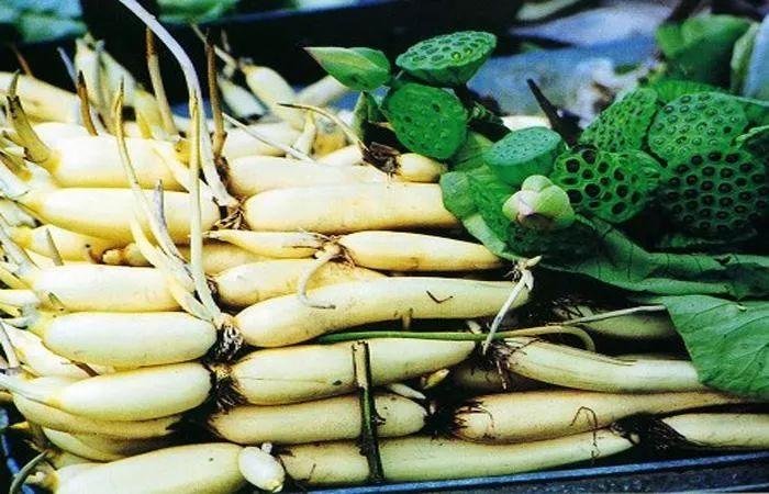 泮塘五秀是指什么？