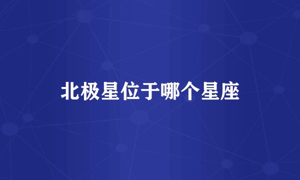 北极星位于哪个星座