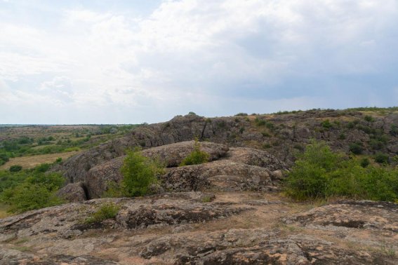 大自然的指南针有哪些,你都知道吗